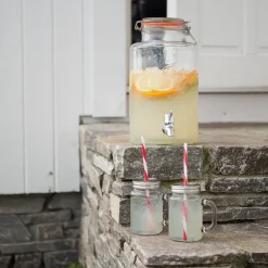 NORGESGLASSET Norgesglass Seidel Glass 2pk m/Sugerør