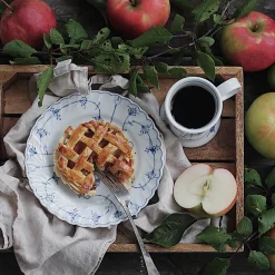 PORSGRUNDS PORSELÆNSFABRIK Porsgrunds Porselænsfabrik Bogstad Stråmønster Tallerken 24,5cm
