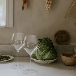 RIEDEL Veloce Pinot Noir/Nebbiolo Vinglass 2stk