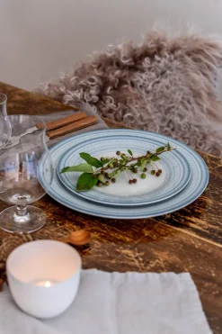 PORSGRUNDS PORSELÆNSFABRIK TALLERKEN FLAT 28 CM BLÅ - 4PK