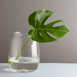 HADELAND GLASSVERK VASE 200MM KLAR